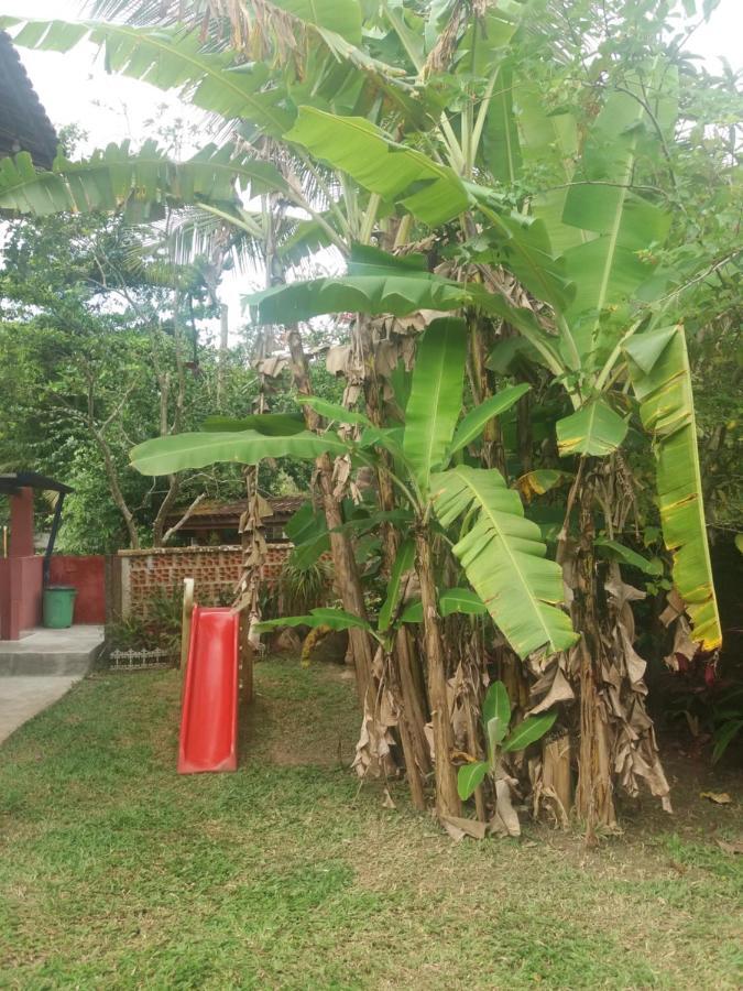 Lepa Com Cozinha Privativa Villa Boicucanga Exterior foto
